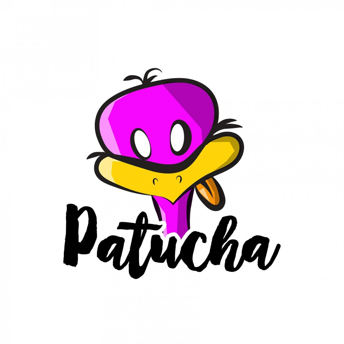 Patucha_MLP