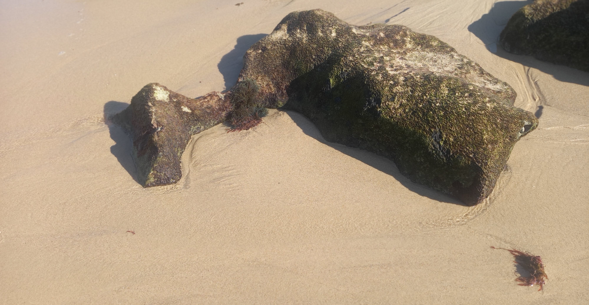 Literacia do Oceano: dos Princípios à Década da Ciência do Oceano