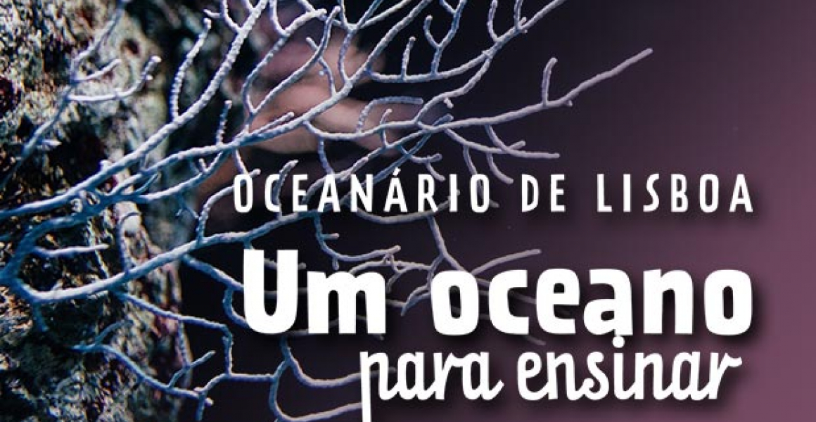 Revista digital para professores do Oceanário de Lisboa