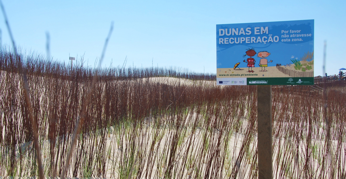 ReDuna - Projeto de restauro ecológico do sistema dunar em Almada