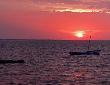 Pesca + Sustentável