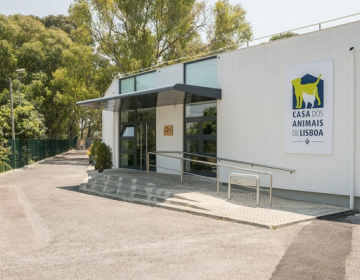 Inauguração da Casa dos Animais em Monsanto