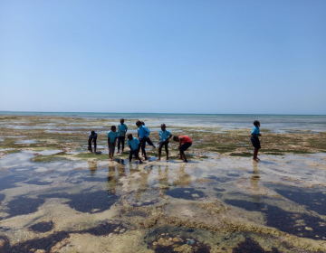 Oficina para crianças “A minha praia” na Ilha de Moçambique