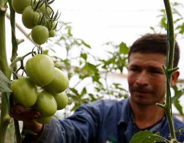 UE lança projeto em Timor-Leste para qualificar jovens e mulheres na área agroflorestal