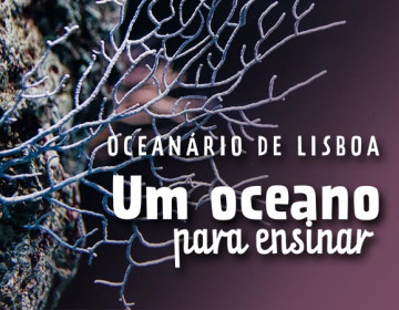 Revista digital para professores do Oceanário de Lisboa