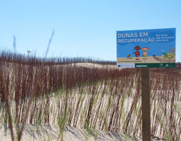 ReDuna - Projeto de restauro ecológico do sistema dunar em Almada