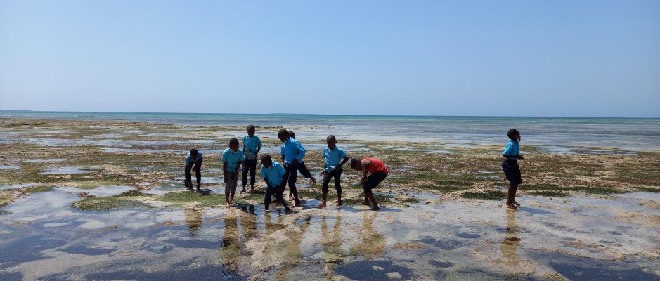 Implementação da estação de reciclagem Precious Plastic na Ilha de Moçambique