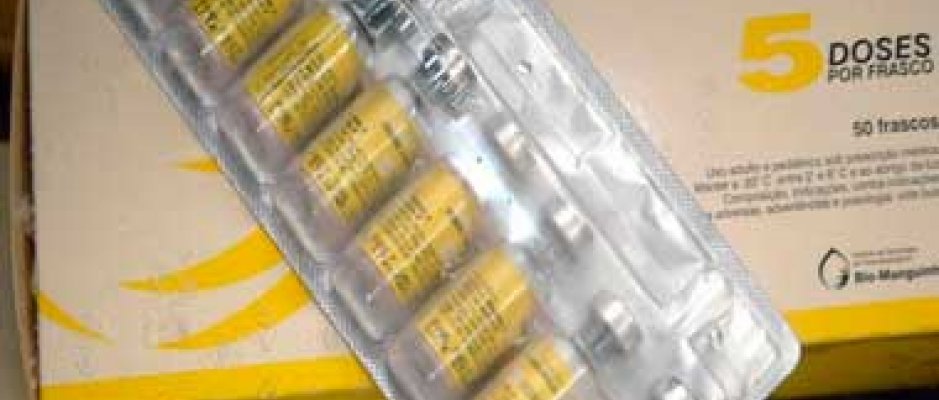 Luanda promove campanha de vacinação contra a febre-amarela