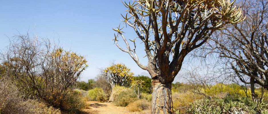 União Europeia formaliza apoio financeiro para a seca em Cabo Verde