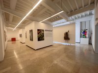 Exposição “Liberdade - Portugal, lugar de encontros” na UCCLA