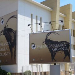 Reabertura do Museu de História Natural de Angola