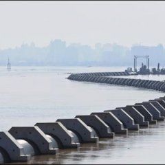 Ações sustentáveis levam Porto Alegre à Hora do Planeta