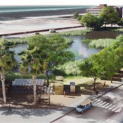 Câmara de Bissau propõe gestão partilhada do Parque M´Batonha