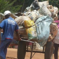 Microempresas garantem a recolha de lixo em Maputo