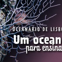 Revista digital para professores do Oceanário de Lisboa