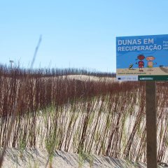 ReDuna - Projeto de restauro ecológico do sistema dunar em Almada